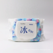 Cool functional non fragrant wipes plastic box wet wipe wholesale